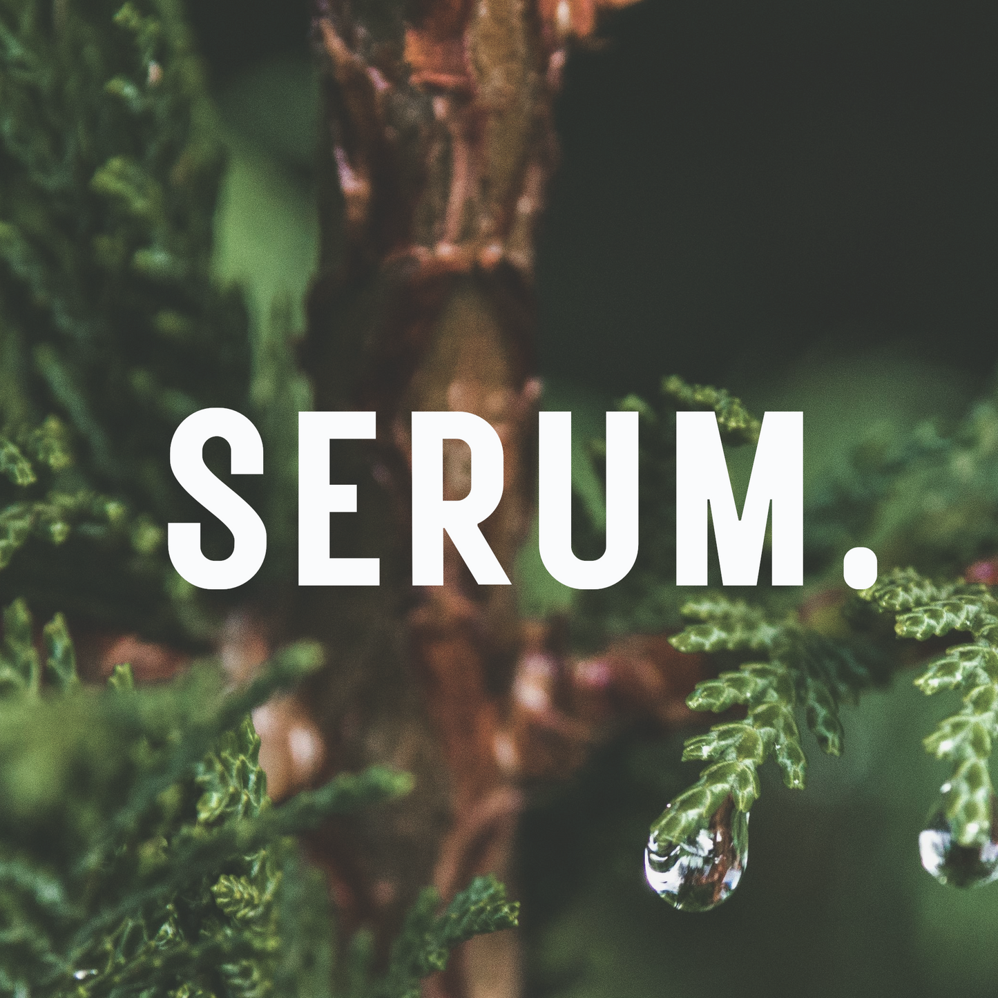 SERUM.